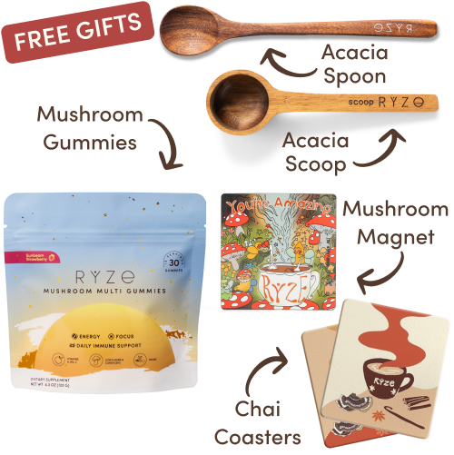 Mushroom hot cocoa, acacia spoon and scoop, coasters, and mushroom magnet with text labels.