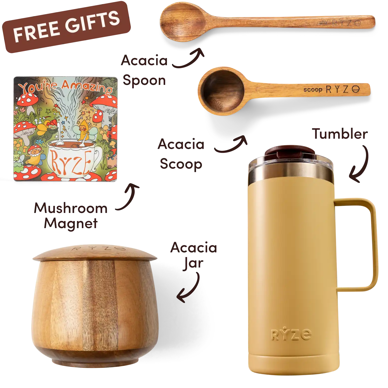Ryze superfood creamer, acacia spoon, scoop, jar, mushroom magnet, and recipe booklet with 'Free Gifts' label.