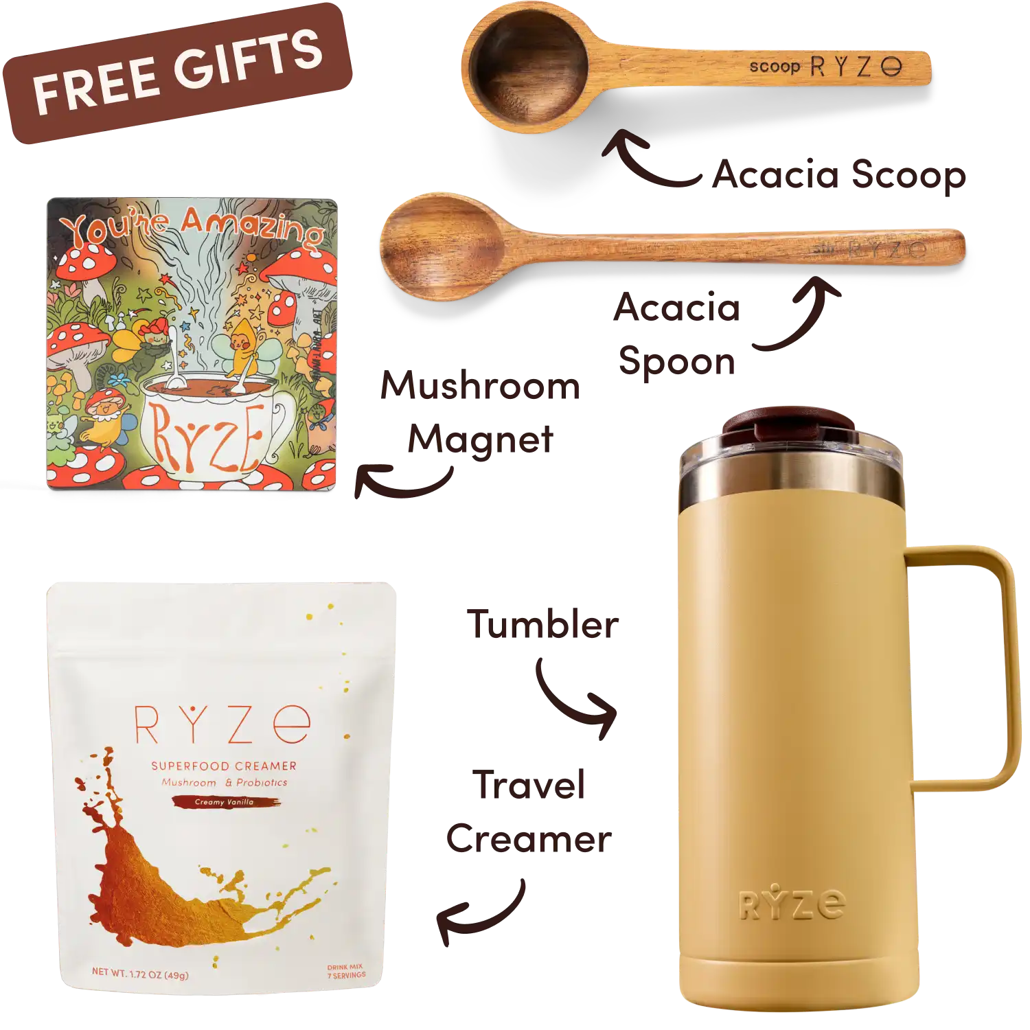 Ryze superfood creamer, acacia spoon, scoop, jar, mushroom magnet, and recipe booklet with 'Free Gifts' label.