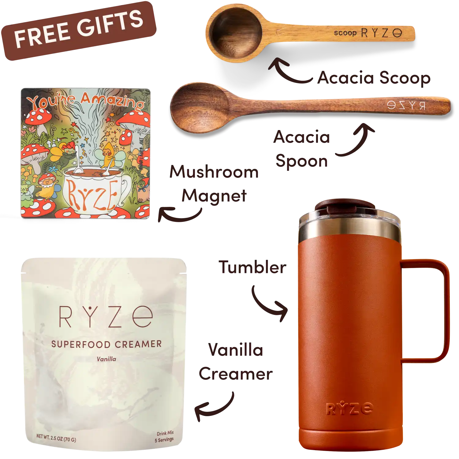 Ryze superfood creamer, acacia spoon, scoop, jar, mushroom magnet, and recipe booklet with 'Free Gifts' label.