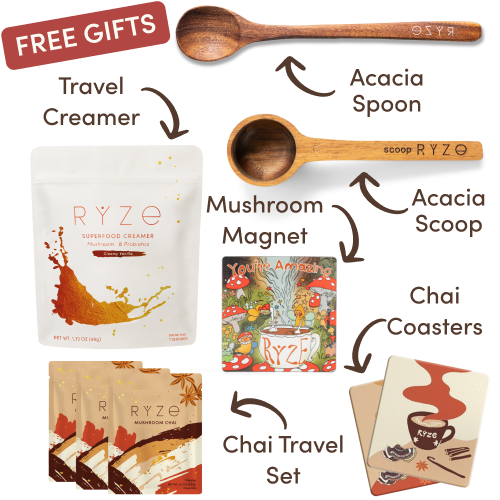 Mushroom hot cocoa, acacia spoon and scoop, coasters, and mushroom magnet with text labels.