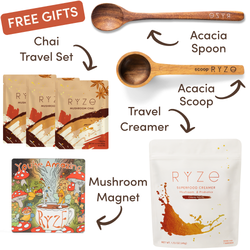 Mushroom Coffee Dark Roast Starter Kit (60 servings)