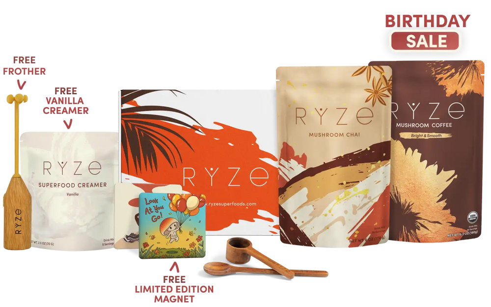 Boosted Chai Latte Bundle (Chai + Coffee)