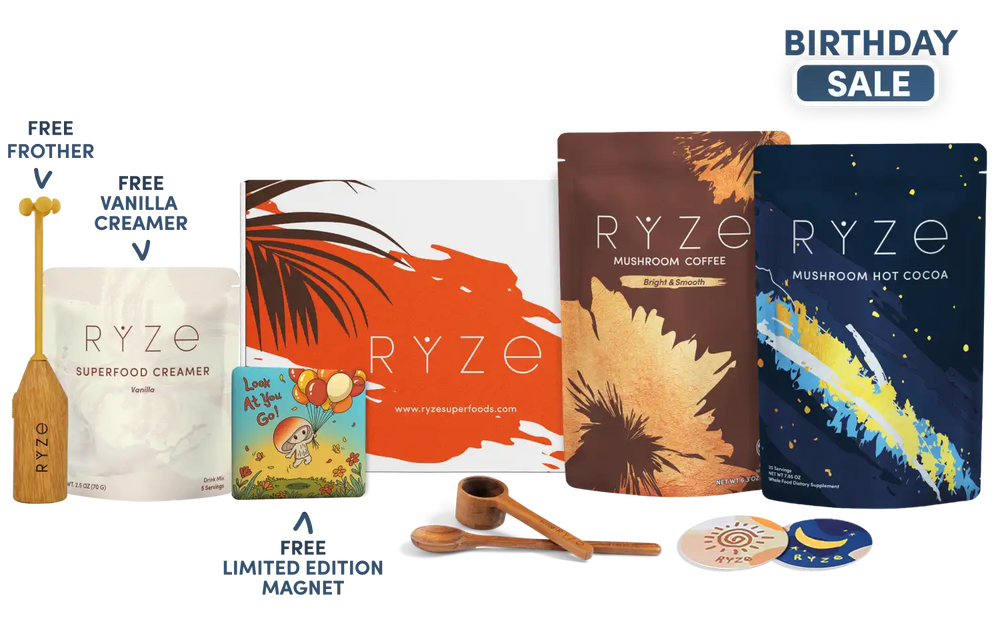 Day + Night Bundle (Coffee + Cocoa)
