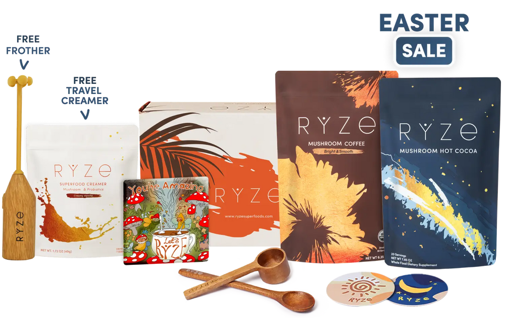 Day + Night Bundle (Coffee + Cocoa)