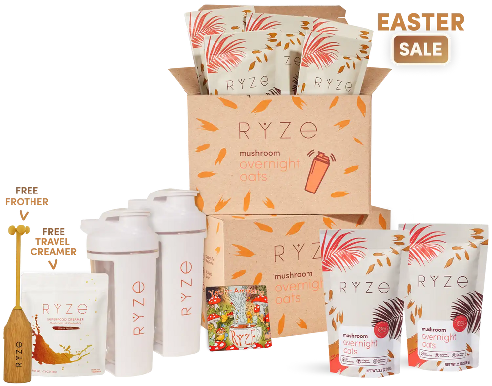 Mushroom Overnight Oats (28 Servings)