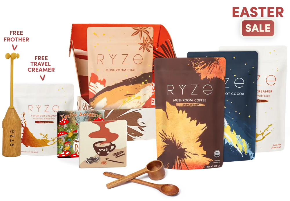 Ultimate Elevate + Unwind Bundle (Chai + Coffee + Cocoa)