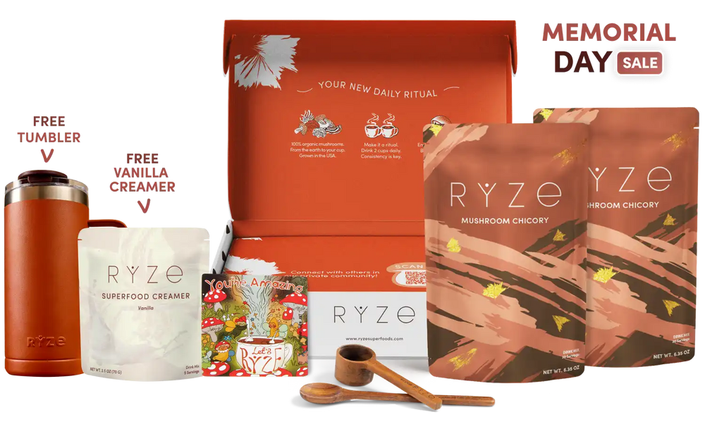 <tc>Mushroom Chicory Kit de Inicio (60 porciones)</tc>