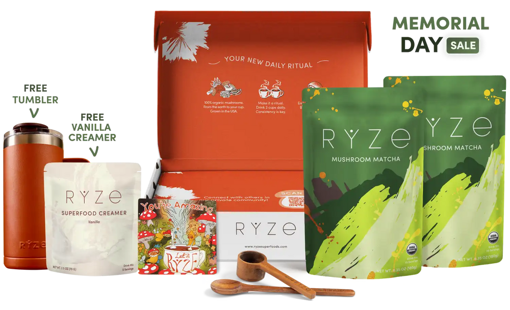 Mushroom Matcha Starter Kit (60 Servings)
